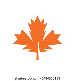 Autumn Maple leaf vector illustration design template