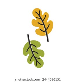 Autumn Maple leaf vector illustration design template