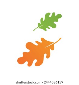 Autumn Maple leaf vector illustration design template