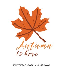 Autumn Maple Leaf vector illustration
