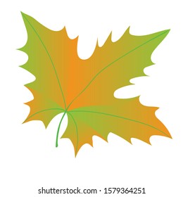 Autumn maple leave, gradient,  Eps 10