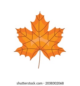 autumn maple leave seasonal icon