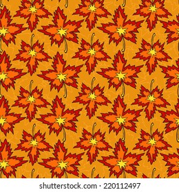 autumn maple leaves