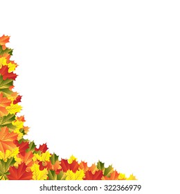 autumn maple leaves