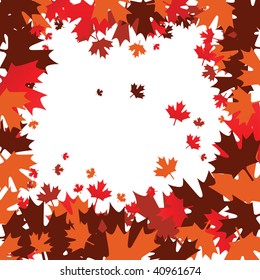 autumn maple leaves