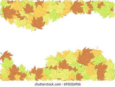 Autumn maple leaves