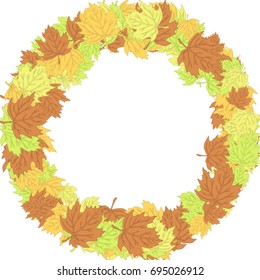 Autumn maple leaves