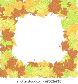 Autumn maple leaves