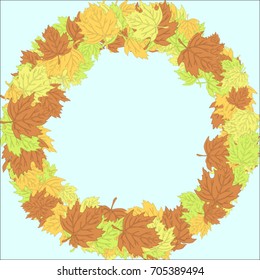 Autumn maple leaves