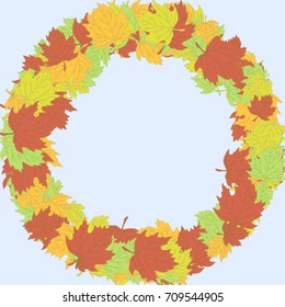 Autumn maple leaves