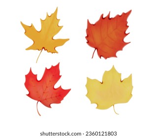 autumn maple leaves 3d vector set on a white background