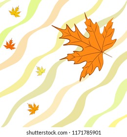 autumn maple leaves autumnal vector background