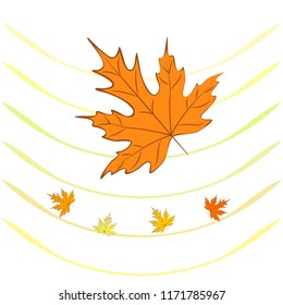autumn maple leaves autumnal vector background