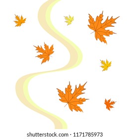 autumn maple leaves autumnal vector background