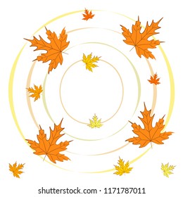 autumn maple leaves autumnal vector background autumn maple leaves autumnal vector background