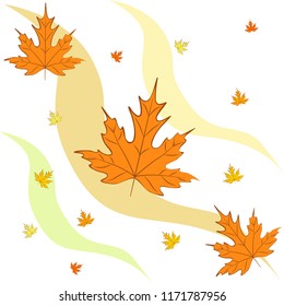 autumn maple leaves autumnal vector background