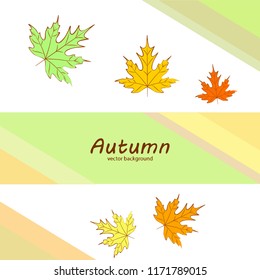 autumn maple leaves autumnal vector background