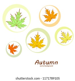 autumn maple leaves autumnal vector background