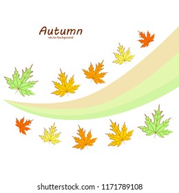 autumn maple leaves autumnal vector background