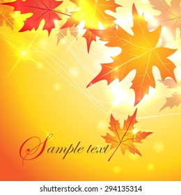 Autumn maple leaves background