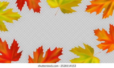 Autumn maple leaves background. Fall frame with realistic maple leaves on transparent background. Vector illustration