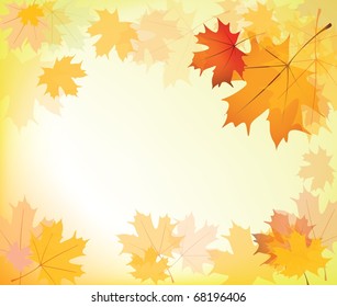 autumn maple leaves background, frame