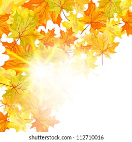 Autumn maple leaves background. Vector illustration with transparency EPS10.