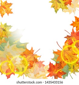 Autumn maple leaves background. Vector illustration with transparency EPS10.