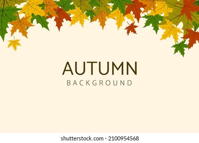 autumn maple leaves background vector
