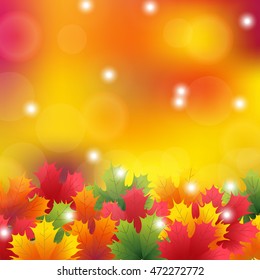 Autumn maple leaves background. vector illustration