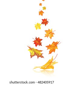 Autumn maple leaves background. Vector illustration with transparency EPS10.