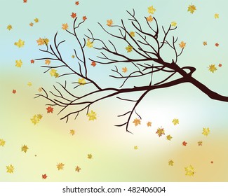 Autumn maple leaves background. Vector illustration with mesh. EPS10.