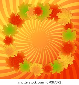 Autumn maple leaves background. Vector illustration. eps10