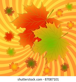 Autumn maple leaves background. Vector illustration. eps10