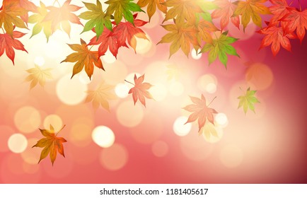 Autumn maple leaves with beautiful sunlight background. Vector illustration.