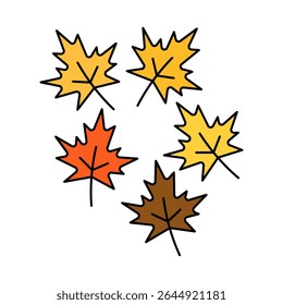 autumn maple leaves design vector illustration