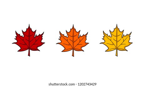 Autumn maple  leaves of different colors 