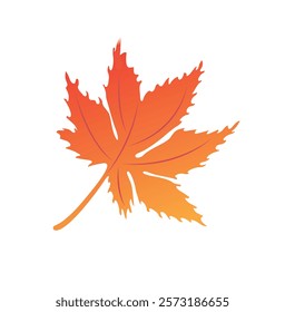  autumn maple leaves fall down, vector illustration