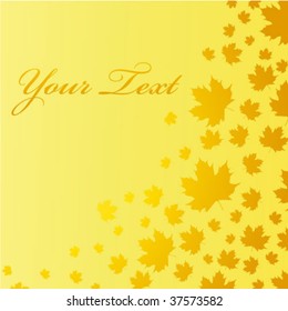   Autumn maple leaves falling down