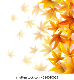 Autumn maple leaves falling on white background, vector illustration