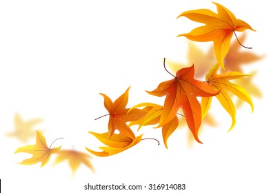 Autumn maple leaves falling and spinning on white background