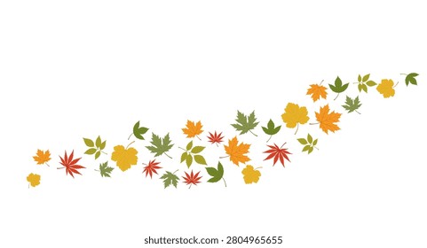 Autumn maple leaves featuring different tree species with labels. Ideal for botanical education, forestry, gardening, seasonal projects, nature guides, and classroom materials.