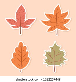 autumn maple leaves foliage nature decoration stickers icons vector illustration