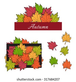 Autumn maple leaves and frames. Vector illustration
