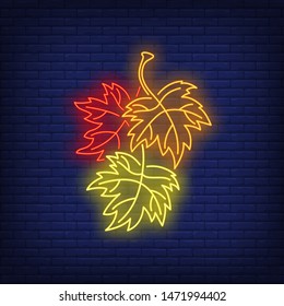 Autumn maple leaves neon sign. Canada, autumn, advertisement design. Night bright neon sign, colorful billboard, light banner. Vector illustration in neon style.
