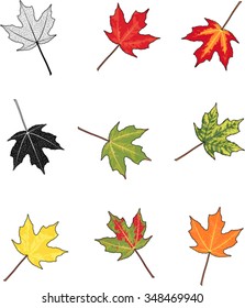 Autumn Maple Leaves - Nine  Vector Images