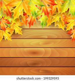 Autumn maple leaves on a background of wooden planks