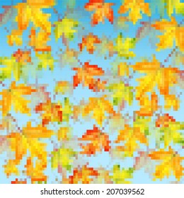 Autumn maple leaves on background blue sky 