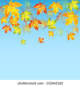 autumn maple leaves on a blue background.autumn background.vector