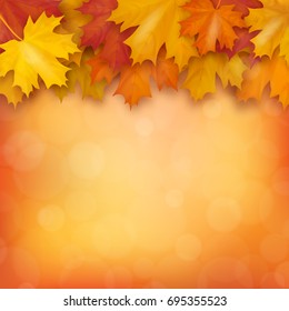 Autumn maple leaves on blurry background. Realistic vector illustration.